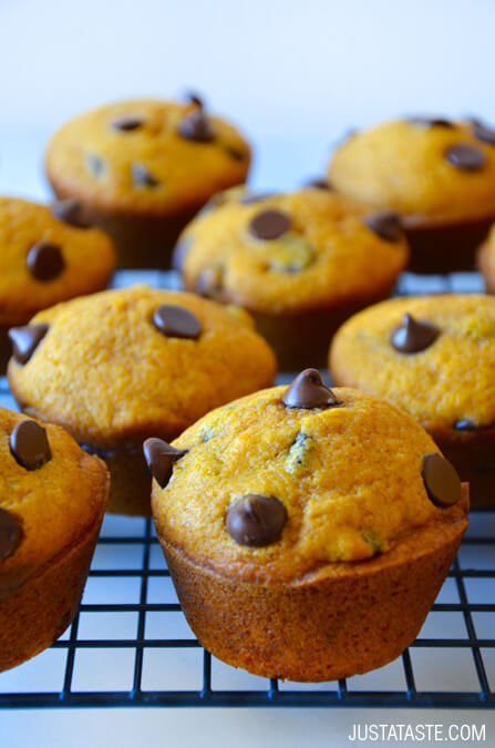 Pumpkin Chocolate Chip Muffins-Best Pumpkin Dessert Recipes