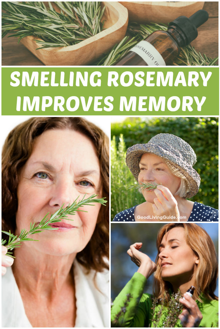 Smelling Rosemary Improves Memory