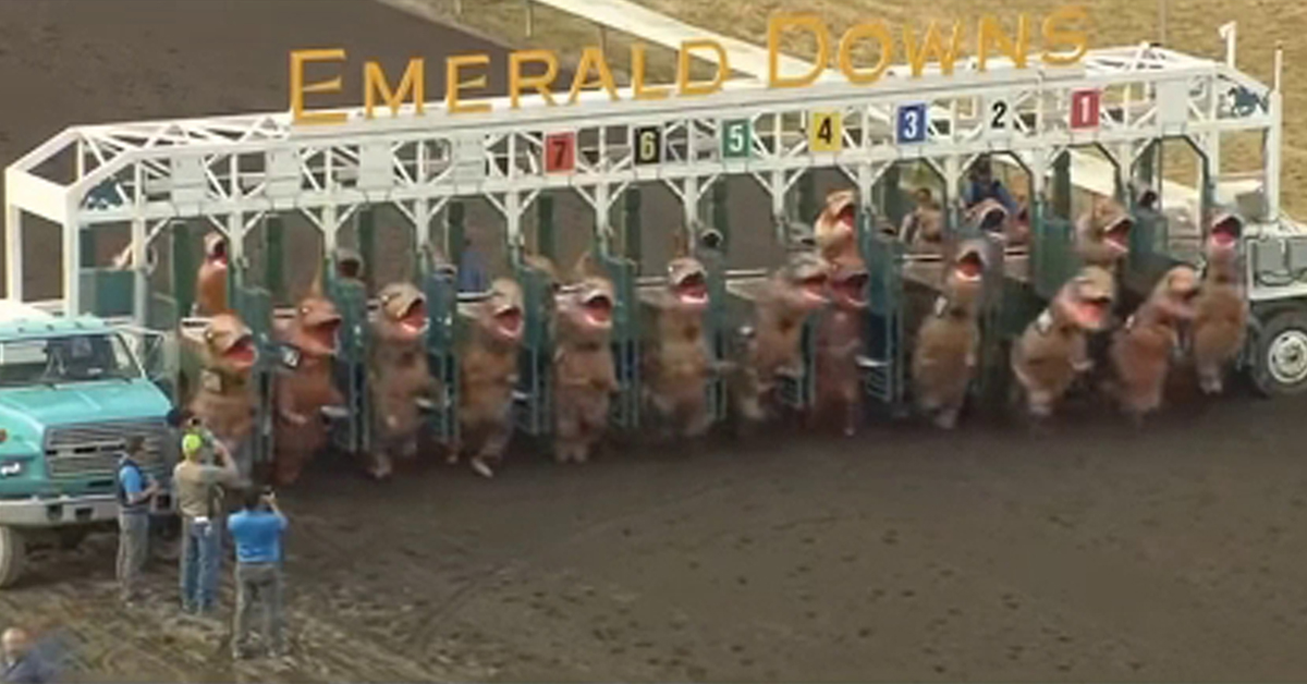 Watch Hilarious TRex Race at Emerald Downs Horse Track Goes Viral