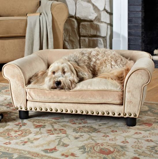 Dog Sofa Beds