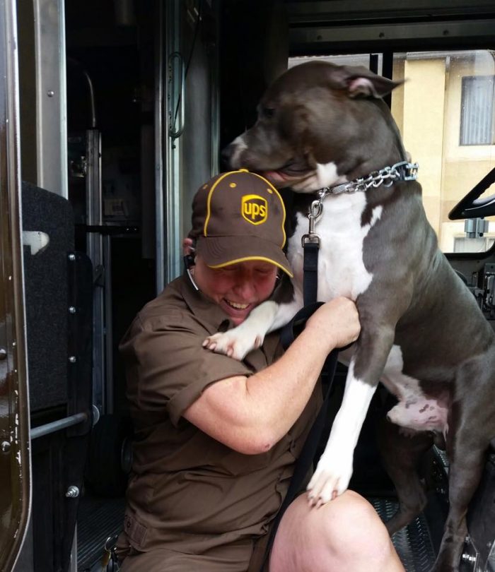 UPS Driver Adopts Pit Bull