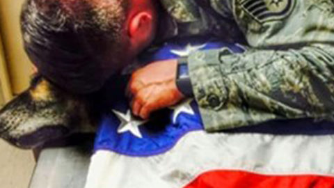 Airman Says Tearful Goodbye To K9 Who Kept American Soldiers Safe