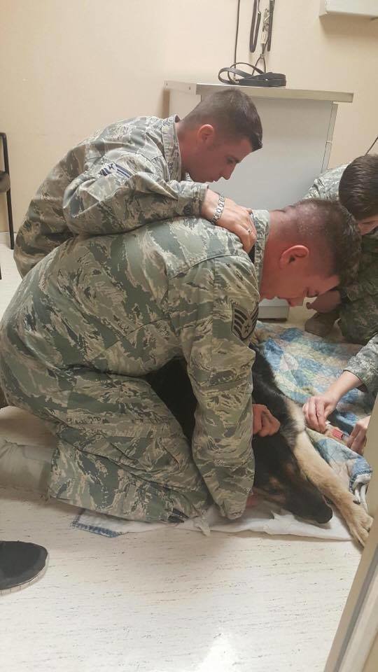 Airman Says Tearful Goodbye To K9 Who Kept American Soldiers Safe