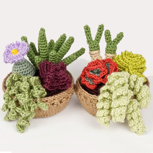 Crochet Succulents