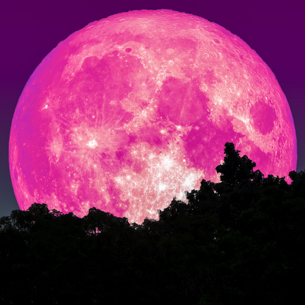 All 100+ Images photos of the pink moon Sharp