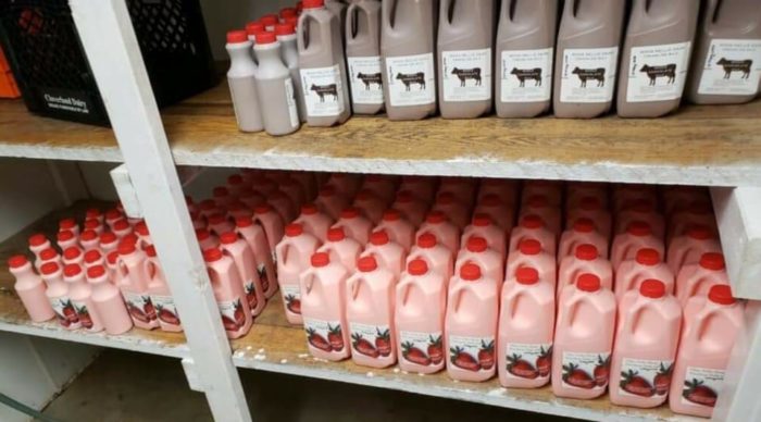 Refusing To Dump Milk, Pennsylvania Dairy Farmer Decides to Bottle Their Own. Sells Out in Hours.