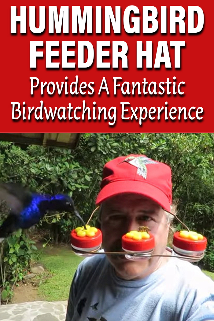 Hummingbird Feeder Hat
