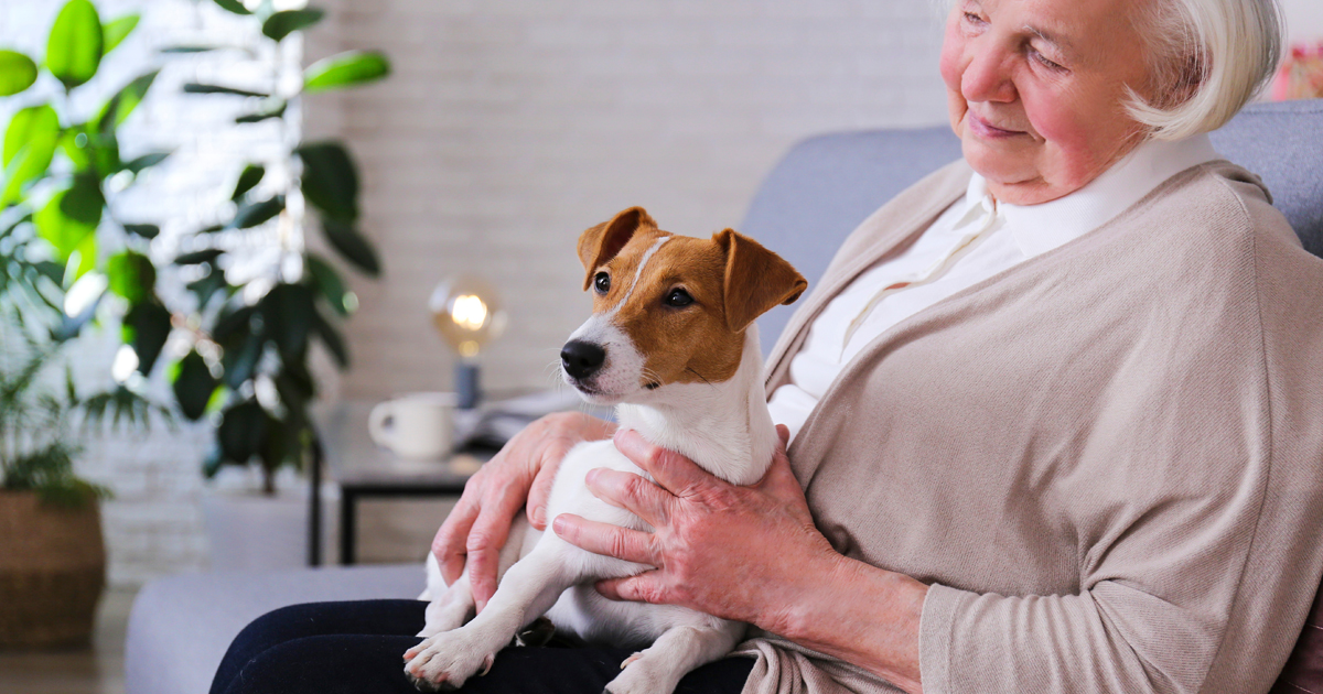 Pets For The Elderly Charity Expands Effort To Help Isolated Seniors