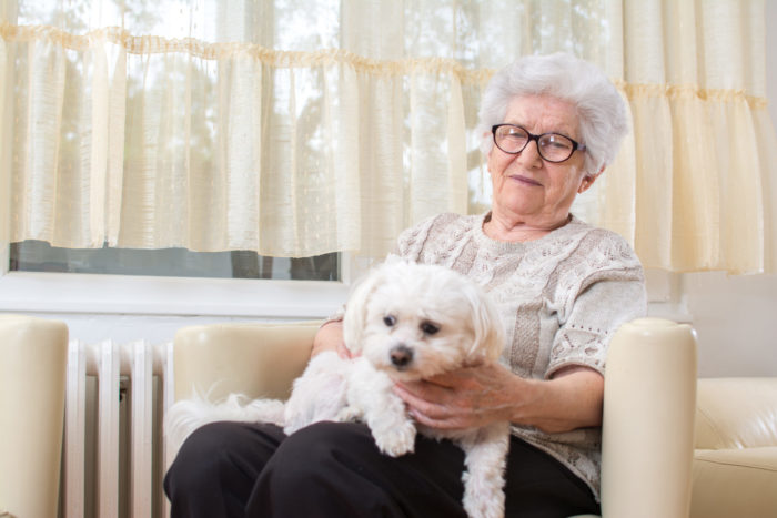 Pets For The Elderly