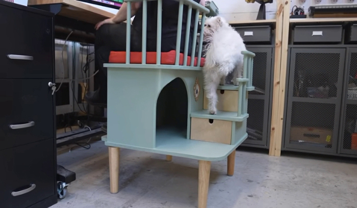 Creative Woman Designs A Chair For Needy Pets