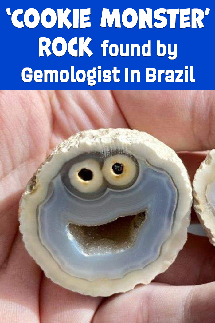 ‘Cookie Monster’ Rock Found By Gemologist In Brazil